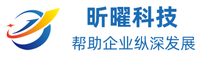 重庆网站开发公司
